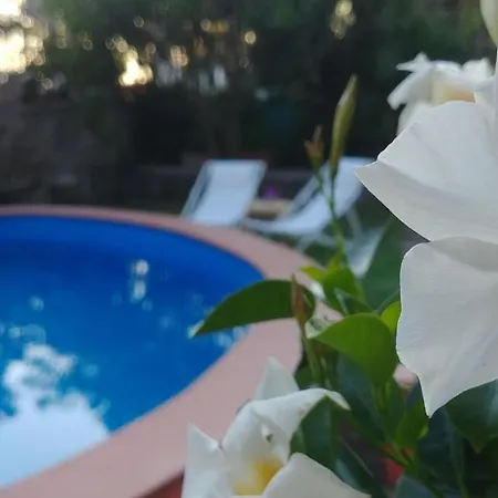 Drina Bed & Breakfast